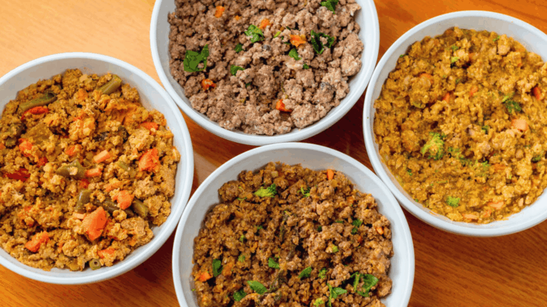 Fresh Natural Hounds dog food bowls