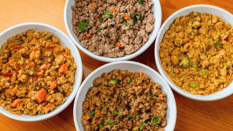 Fresh Natural Hounds meals